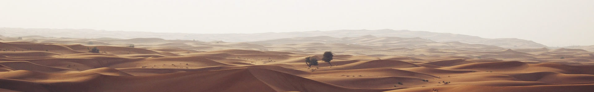 ݸԵ޹˾